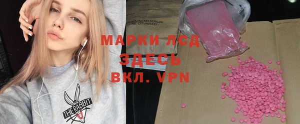 PSILOCYBIN Алзамай