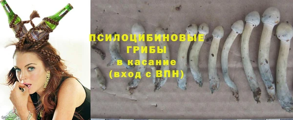 таблы Алексин