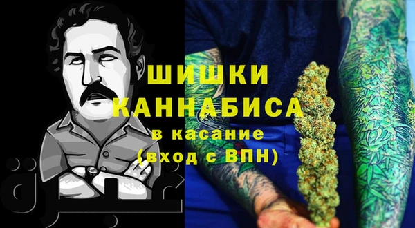 PSILOCYBIN Алзамай