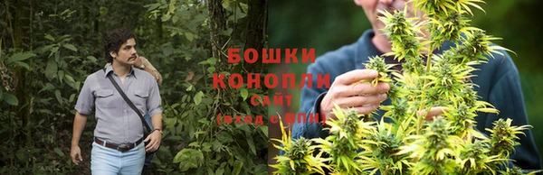 PSILOCYBIN Алзамай
