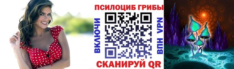 Галлюциногенные грибы Magic Shrooms  цены наркотик  Себеж 